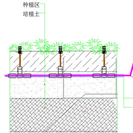 设计开发